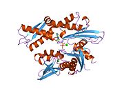 1hjo​: Protein toplotnog šoka 70 kD, 42 kD ATPaza N-terminalni domen