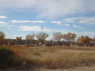 <span class="mw-page-title-main">Fort Selden</span> United States historic place in New Mexico