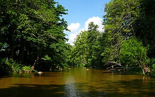 <span class="mw-page-title-main">Watauga River</span> River in the United States of America