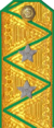 погон 1943