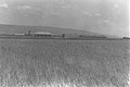 Mesilot 1939