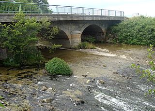 <span class="mw-page-title-main">Abatesco</span> River of the Haute-Corse department in Corsica