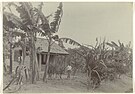 Woning op plantage Johanna-Catharina, Suriname (foto 1918)