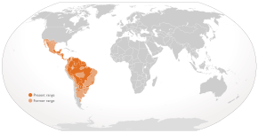 Descripcion d'l'imatge Cypron-Range Panthera onca.svg.