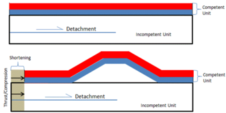 Figure 1. The general geometry of a detachment fold illustrating the shortening above a layer parallel decollement and the resulting geometry of a detachment fold in a compressional environment. Detachment fold.png