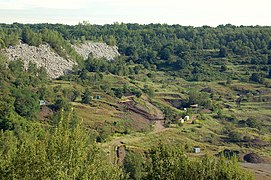 メッセル採掘場の化石発掘現場（1995年、自然遺産）