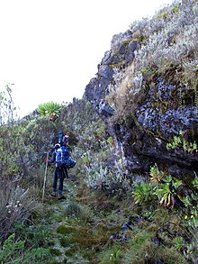 Mount Elgon Mount Elgon-1.jpg