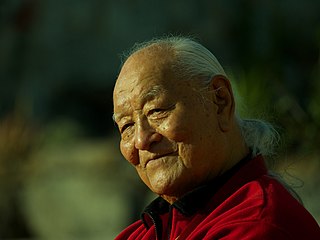 <span class="mw-page-title-main">Namkhai Norbu</span> Tibetan Dzogchen master (1938–2018)