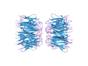 PDB 2p1b EBI.png