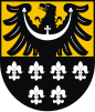 Trzebnica County