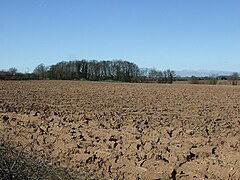 Ploughed field north of Rotherham Baulk - geograph.org.uk - 3890626.jpg