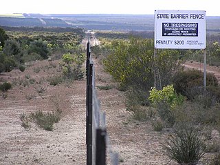 <span class="mw-page-title-main">Rabbit-proof fence</span> Pest-exclusion fence in Western Australia