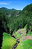 The view of Salt Creek just below Salt Creek Falls in the Cascade Mountains