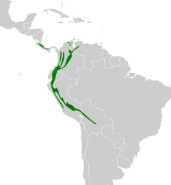 Distribución geográfica del piojito guardarríos.