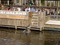 Feeding time! Gatorland