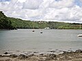 Aulne maritime : le cimetière de bateaux de Landévennec et la forêt domaniale de Landévennec vus depuis l'anse de Moulin Mer (en Argol).