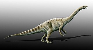 <span class="mw-page-title-main">Massospondylidae</span> Extinct family of dinosaurs