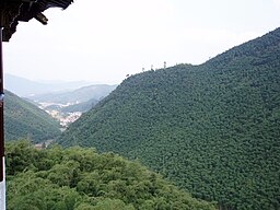 Bamboo forest in Zhejiang, China.