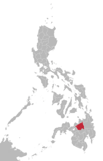 <span class="mw-page-title-main">Bukid language</span> Manobo language spoken in the Philippines