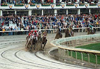 <span class="mw-page-title-main">Breeders' Cup Classic</span> American Thoroughbred horse race