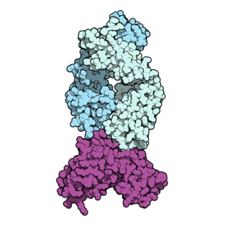 <span class="mw-page-title-main">Isatuximab</span> Monoclonal antibody