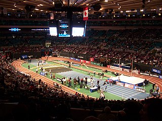 <span class="mw-page-title-main">1981 USA Indoor Track and Field Championships</span> National athletics championship event