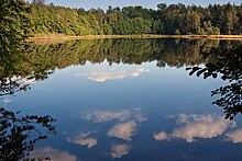 Barevná fotografie rybníka uprostřed zalesněné krajiny