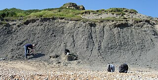 <span class="mw-page-title-main">Oxford Clay</span> Jurassic rock formation in southeast England