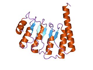 <span class="mw-page-title-main">Tropomodulin</span>