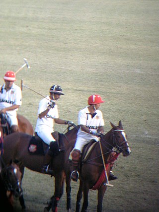 <span class="mw-page-title-main">Polo in India</span>