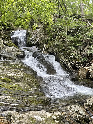 <span class="mw-page-title-main">Chester-Blandford State Forest</span> Protected area in Massachusetts, United States