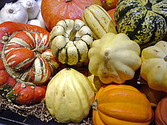 An assortment of winter squashes Squashes.jpg