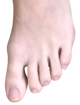 <span class="mw-page-title-main">Toe</span> Digit of a foot