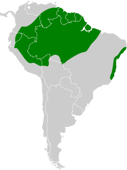 Distribución geográfica del picoplano cabecigrís.