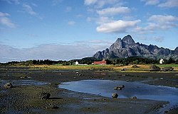 Vågkallen på Austvågøy