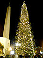 Albero di Natale in piazza San Pietro in Vaticano nel 2007