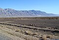 Panamint Range