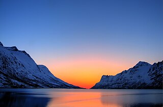 <span class="mw-page-title-main">Arctic ecology</span> Study of the relationships between biotic and abiotic factors in the arctic