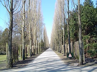 <span class="mw-page-title-main">Assistens Cemetery (Copenhagen)</span> Cemetery in Copenhagen, Denmark