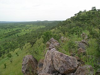 <span class="mw-page-title-main">Togo Mountains</span> Mountain range in Africa