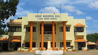 <span class="mw-page-title-main">Basay, Negros Oriental</span> Municipality in Negros Oriental, Philippines