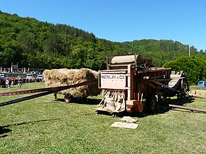 Batteuse Merlin (vers 1950). Vue sur l'ensachage des grains. La courroie sur le flanc de la machine entraîne une presse séparée à l'arrière.