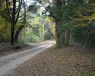 <span class="mw-page-title-main">Historic Blakeley State Park</span> State park in Baldwin County, Alabama, United States