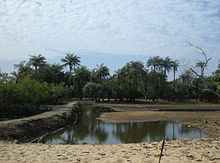 A pond in the foreground with a steep embankment blocking its spreading to the left and with trees in the background