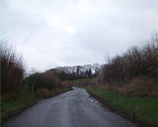 <span class="mw-page-title-main">Cleaves Wood</span> Protected area in Somerset, England