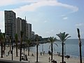 Image 19Palm trees at the seafront in Corniche Beirut (from Culture of Lebanon)