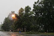 On un-insulated wires, trees facilitated short-circuit in storms.