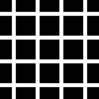 <span class="mw-page-title-main">Grid illusion</span> Kind of grid that deceives a persons vision