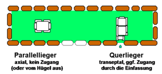 Layout of the Harhoog dolmens with parallel and transverse graves JEWQuer.png