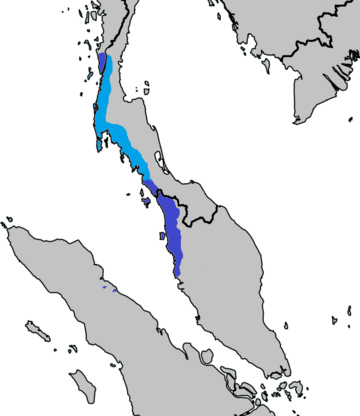 Kedah Malay